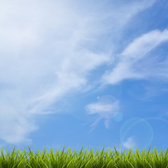 Obraz na płótnie Canvas Grass grass under blue sky and clouds