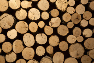 Closeup of stacked firewood