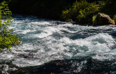 River Rapids in a Stream in the Oregon Cascade Mountains