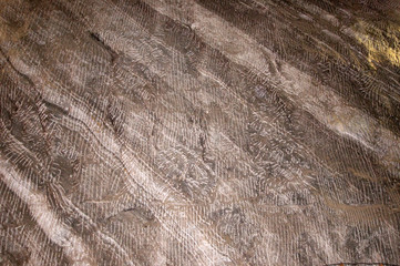 Texture of salt-mine, Pride, Sovata, Romania, Europe