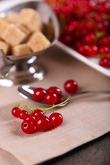 Ripe red currants with lamp sugar, closeup