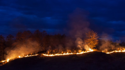 Bushfire at night