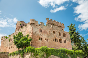 Château de Kintzheim, Volerie des Aigles