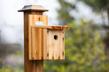 DIY wood birdhouse