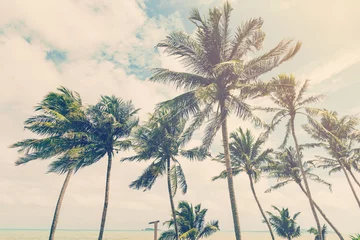 Fotobehang kokospalmboom op het strand van de natuurachtergrond in vintage stijl © tortoon