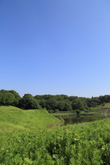 Obraz premium The landscape with the regulation pond.