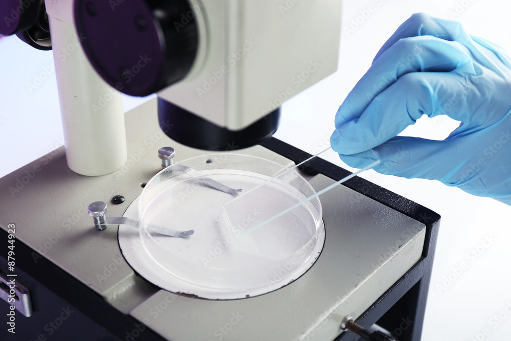 Wall mural scientist working with microscope in laboratory