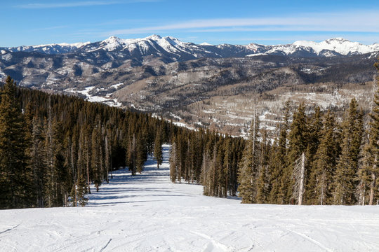 Looking down a ski run through trees with snow covered mountain in the distance