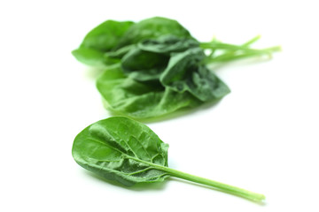 Fresh spinach leaves isolated on white