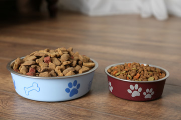 Dog food in bowls on floor at home