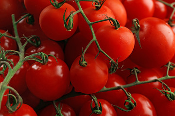 Pile of cherry tomatoes close up