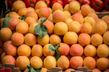 Fresh apricots in the market