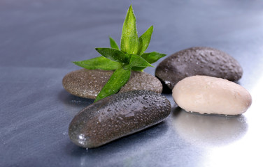 Obraz na płótnie Canvas Wet spa stones with green leaves on gray background