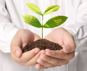  man hands holding plant