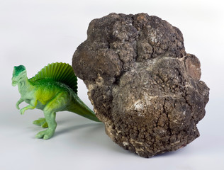 Fototapeta premium Dinosaur Poop.