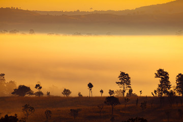 misty morning sunrise in mountain at Thung Salang Luang National