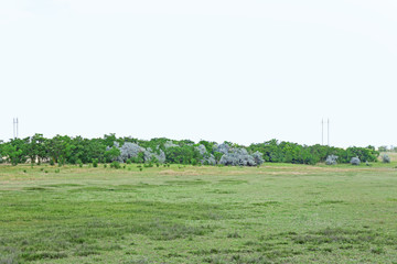 Beautiful country landscape