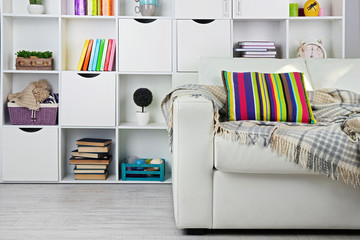 White living room with sofa and bookcase © Africa Studio