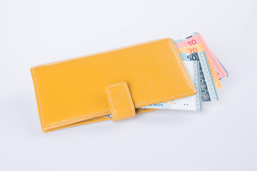 wallet. woman wallet with money on a background