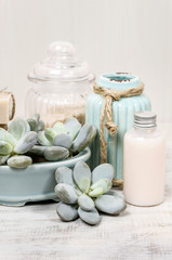 Moisturizing dry skin: set of cosmetics and succulent plants