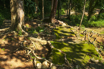 Karome warefall national park Thailand