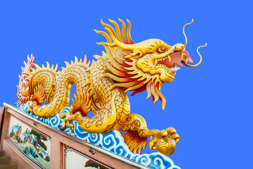 Obraz premium Golden dragon