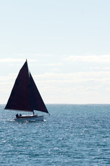 Historic couta boat sailing vert