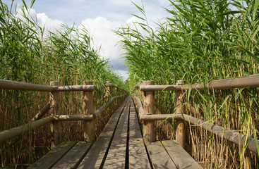 Wooden path in countryside.