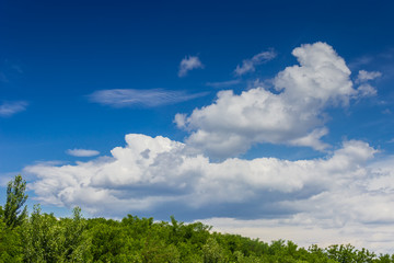 Sky with cumulus clouds and cirrus cloud on a background of tree