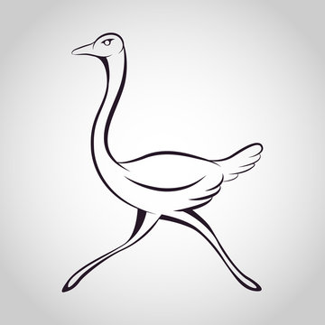 Ostrich logo