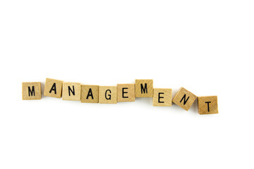 Management text on wooden cubes, isolated on white background