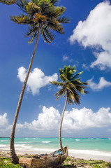 Traumurlaub auf einsamer Insel in der Karibik :)