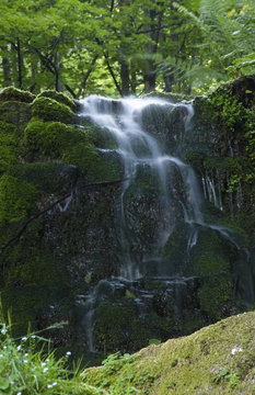 arabeschi d'acqua sulla parete rocciosa