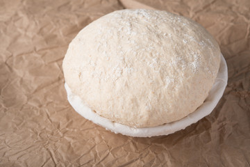 Fototapeta na wymiar Sour Dough