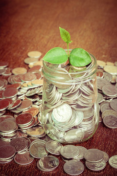 plant growing out of coins with filter effect retro vintage styl