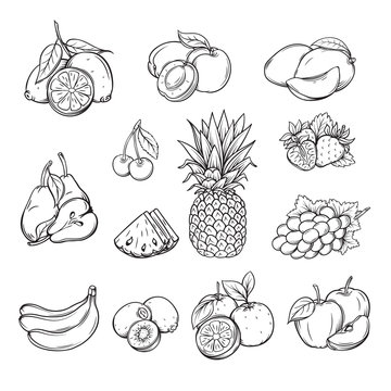 vector set of different hand drawn fruit ,