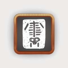 x-ray doodle