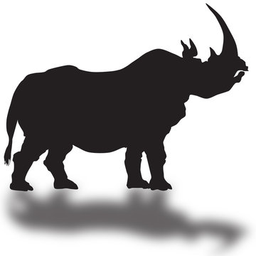 silhouette of a rhino whith shadow