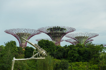 SINGAPORE - MAY 12: Gardens by the Bay on Mar 12, 2014 in Singap