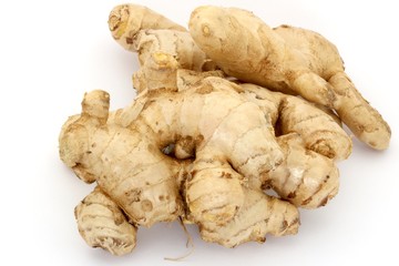 Ginger on White Background