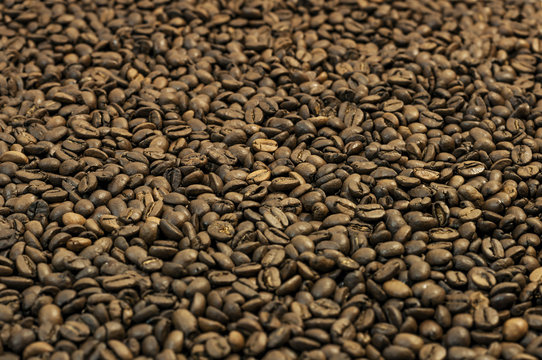 Brown coffee beans, coffee beans for background and texture