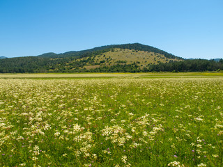 Intermittent Lake Petelinje