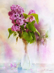 Сирень © marisia7708