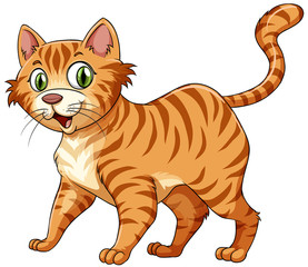 Fototapeta na wymiar Feline cat in ginger