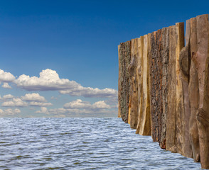 Fence bark on the surface of the water.