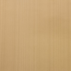 Fototapeta premium light brown texture background
