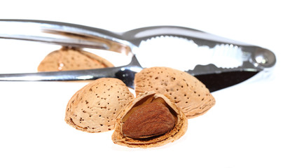 Walnut in nut cracker isolated on white background.