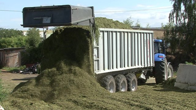  Emptying into the pit silage