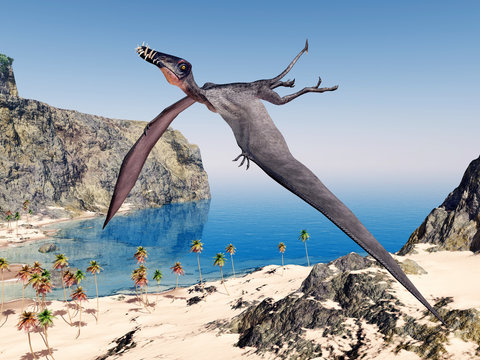 Pterosaur Dorygnathus