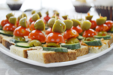 Well decorated food, canapes, cold,cuts, buffet